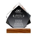 New Crystal Iceberg Award Wooden Base