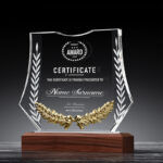 Special Crystal Metal Accessory Award Trophy