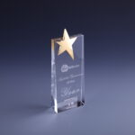 Crystal Metal Star Award Trophy