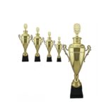 Gold Award Cup Trophy Master Manufacture